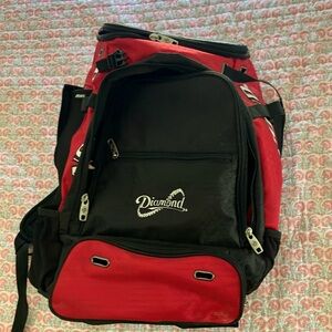 Softball Bag